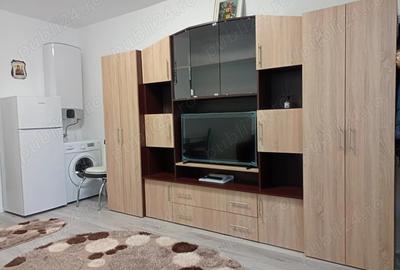 Garsonieră nedecomandată în Vasile Aaron - 1