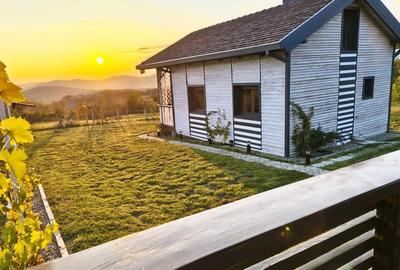 Cabana Casa de vacanta in Bucovina - 15