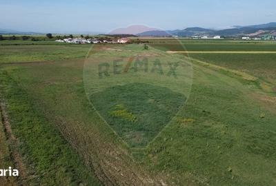 Teren de 39500 mp, în Vințu de Jos - 6