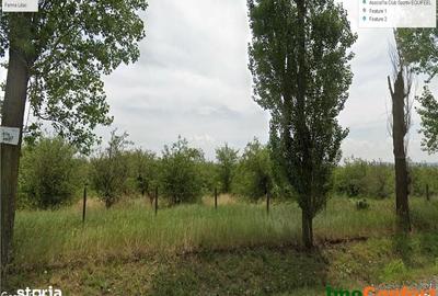 Teren de 15000 mp, în Horlești - 2