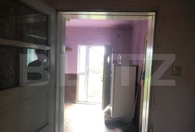 Casa Odoreu , Judetul Satu Mare - 4