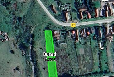 Teren Buzad intravilan - 1
