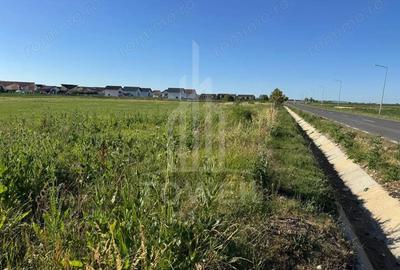 Teren de 2500 mp, în Șura Mică - 8