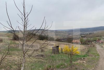 Teren de 2000 mp, în Borhanci - 1