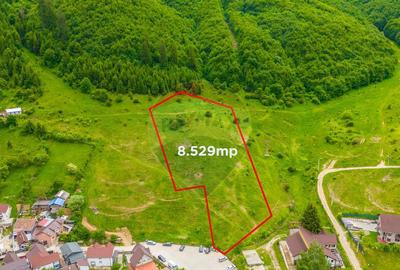 COMISION 0% Teren de 8529 mp/Bunloc/Intravilan - 7