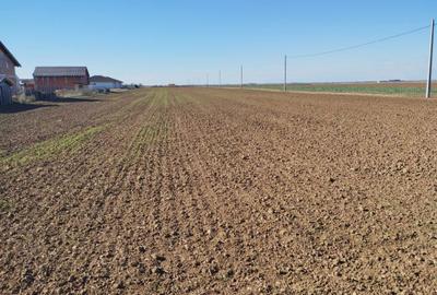 Spațiu comercial, în Livada de Bihor - 4