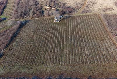 Vita-de-vie Premium  teren de 6800 mp în Covăsinț - 17