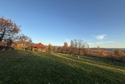 Teren de vanzare Unguras - 4