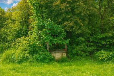 Casă cu 2 camere în Vâlcele - 2