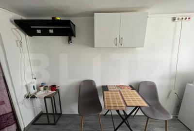 Garsoniera, 20mp, cat friendly, zona Centrala - 1