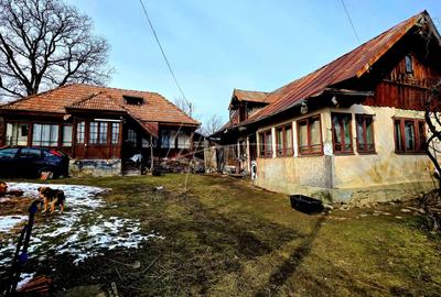 Teren Construcții de 3948 mp, în Provița de Sus - 6