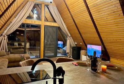 Casă cu Teren 7000 Mp în Aluniș - 2