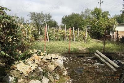 Casă cu 5 camere cu Teren 4316 Mp în Telești - 5