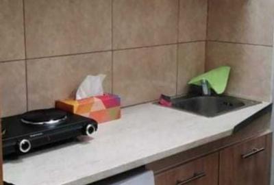 Minigarsoniera - Tractorul- langa Ciresi Mall - 5