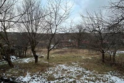 Casa veche in Suceagu cu teren 1715 mp2 - 3