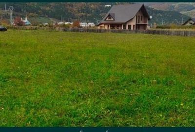 Teren de 1700 mp, în Pângărați