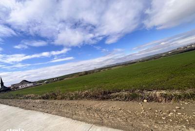 Spațiu comercial, în Orășeni-Deal - 2