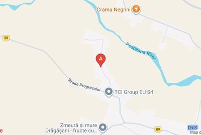 Teren Construcții intravilan de 2000 mp, în Zlătărei - 1