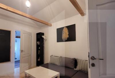 CABANA LA 3 INSULE CU IESIRE LA MURES LA PRET DE GARSONIER - 1