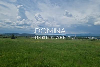 Teren agricol extravilan de 7040 mp, în Preajba - 4
