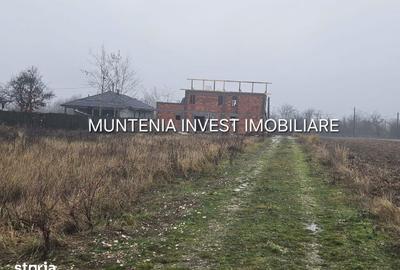 Teren de 935 mp, în Moșoaia - 3