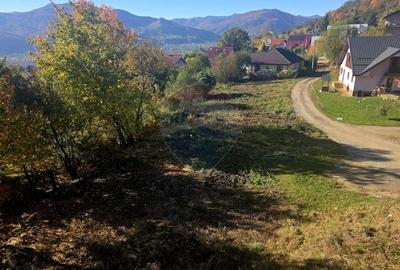 Casa / Vila cu 5 camere de vanzare - 41