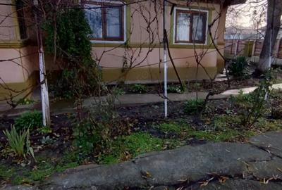 Casă cu 4 camere cu Teren 1200 Mp în Cotorca - 9