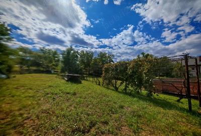 Casă cu 3 camere cu Teren 1600 Mp în Central - 8