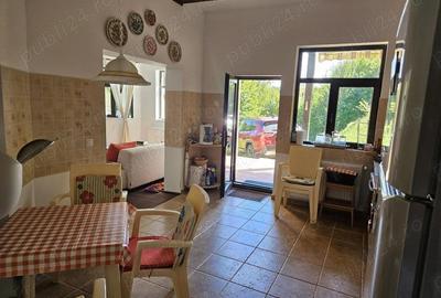 Casă cu 5 camere cu Teren 6842 Mp în Brădetu - 3