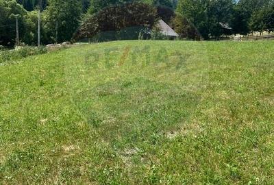 Teren Construcții intravilan de 4397 mp, în Mănăstirea Humorului - 6