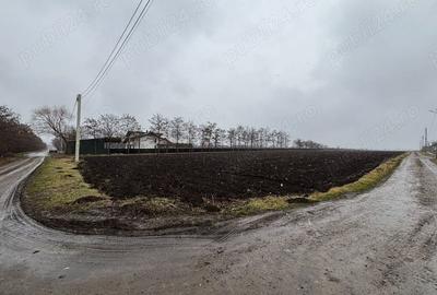 Teren de 15000 mp, în Saucenița - 2