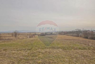 Teren de 2250 mp, în Crizbav - 1