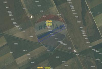 Teren agricol extravilan de 16200 mp, în Hărman - 2