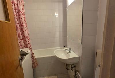 Titan, 10 minute metrou, chiar la intrarea in parcul IOR, pe Lotrioara, - 13