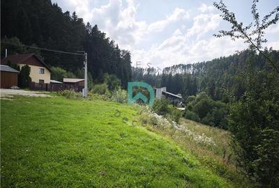 Teren Construcții intravilan de 1500 mp, în Poiana Angelescu - 8