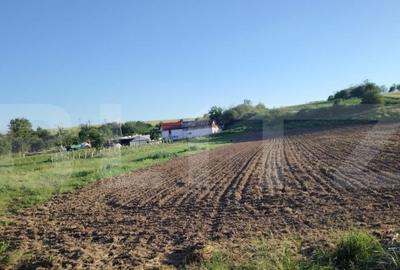 Teren ideal pentru constructie, 2722 mp in Ghercesti - 1