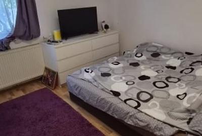 Casă individuală cu 4 camere cu Canalizare în Aninoasa - 4