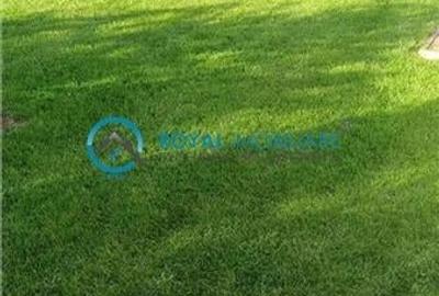 Royal Imobiliare - Vanzare Vila Strejnicu - 5