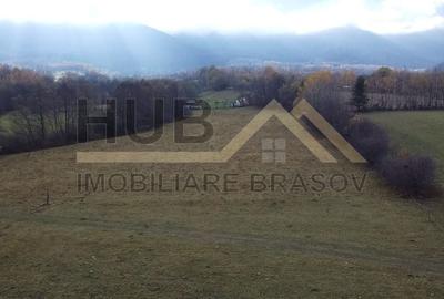 Teren Zarnesti | Tohanita | Intravilan | PUZ aprobat | Fara Utilitati | 9.053mp - 5