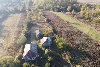 Casă cu 2 camere cu Teren 1000 Mp în Central - 7