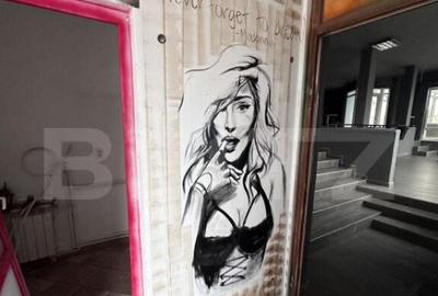 Spa?iu comercial, 6 incaperi, 237 mp, zona Big - 3