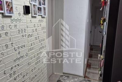Apartament cu 2 camere, decomandat, centrala proprie, renovat,Sagului - 6