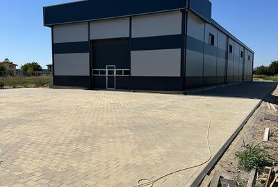 Hala 600mp depozitare/ productie  Teren 1800mp Joita - 3