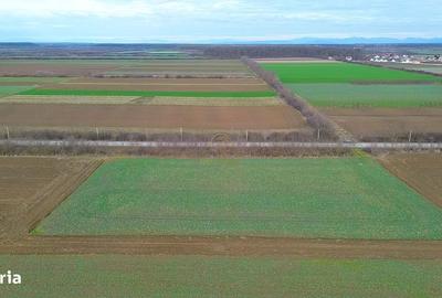 Teren de 6600 mp, în Botizului - 3