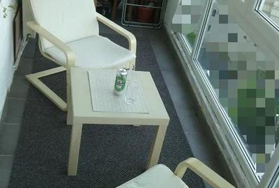 Garsonieră decomandată, mobilată în Alexandru cel Bun