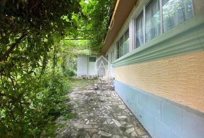 Teren Construcții intravilan de 15900 mp, în Fințești - 2