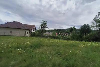 Teren intravilan 7759 mp in Curtea de Arges zona Noaptes - 3