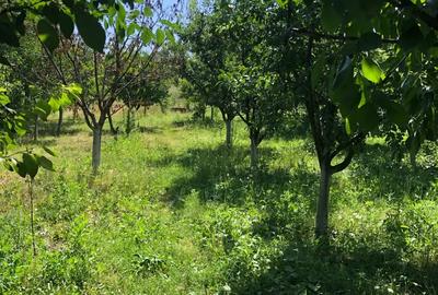 Casa de vanzare Peretu - 1