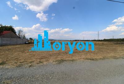 Teren agricol extravilan de 400 mp, în Vest - 1