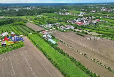 AZURA Imobiliare - Teren Mosoaia - 5